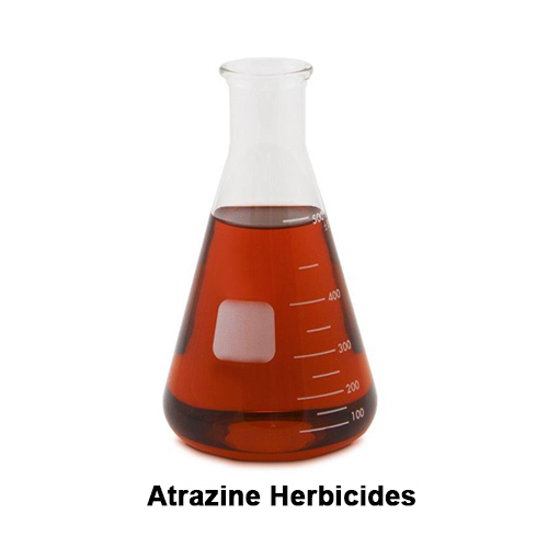 Atrazin 50%Wp Cas No: 1912-24-9