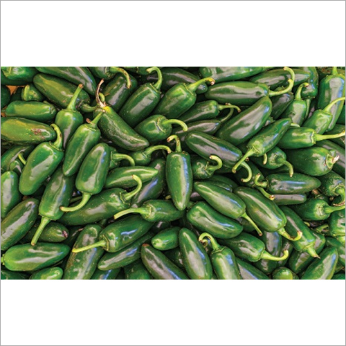 Jalepeno