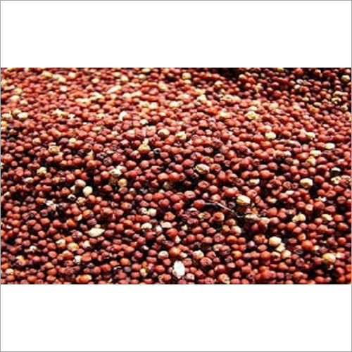 Ragi