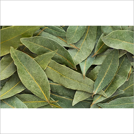 Bay Leafs
