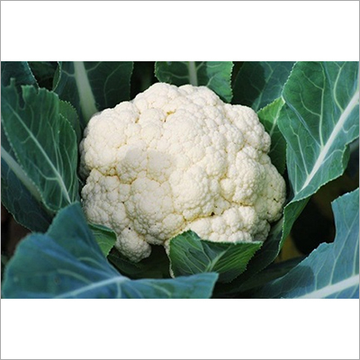 Cauliflower