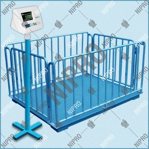 Pig Weighing Scale