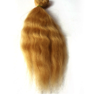 Greatest Blonde Human Hair Extensions With Straight Hair