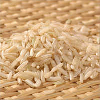 Brown Pathumthani Rice