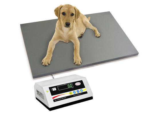 Animal weighing scale