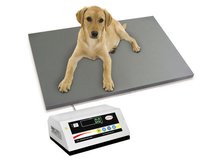 Animal Weighing Scale - Durable Steel Platform, Precision Measurement Technology, Load Capacity Up To 2000 Pounds