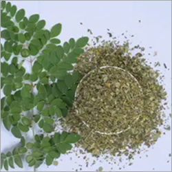 Moringa Tea