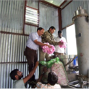 Distillation Plant For Flowers