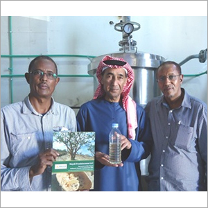 Distillation Plant for Gum Resins