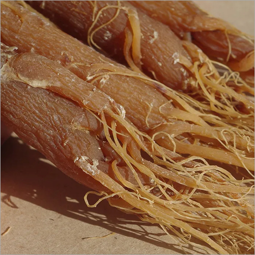 Ginseng Roots