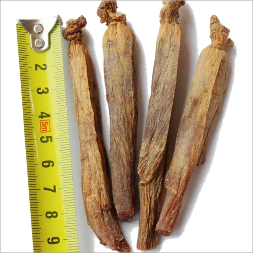 Korean Ginseng Root