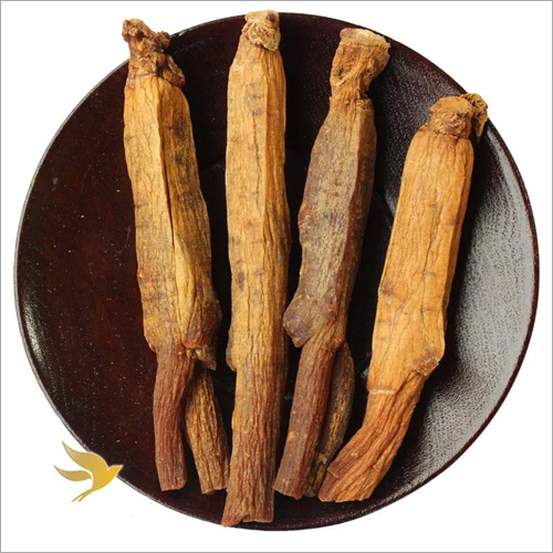 Korean Ginseng