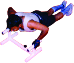 Push Up Stand Heavy Duty By EXCELLENT INNOVATIVE EQUIPMENTS PVT LTD