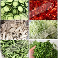 YB-24 Desktop Vegetable Chopper Spring Onion Leek Cutting Machine