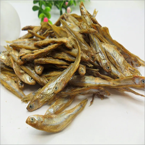 Fresh Dry Fish - Fresh Preserved Fish in Oil & Salt | Preserved with Care for Authentic Flavor and Quality