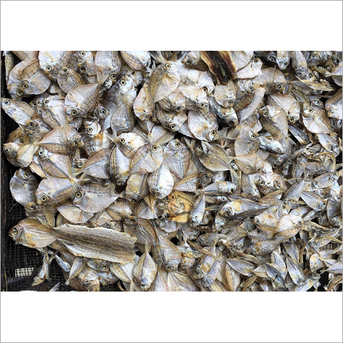 Fresh Sun Dry Fish