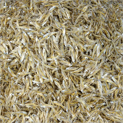 Fresh Small Dry Fish