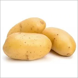 Fresh Potato By TRIDENT GLOBAL EXPORT SERVICES