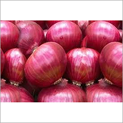 Fresh Red Onion By TRIDENT GLOBAL EXPORT SERVICES
