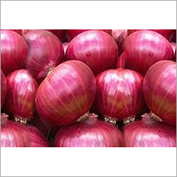 Fresh Red Onion