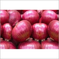 Fresh Red Onion