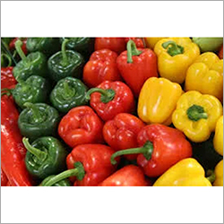 Fresh Capsicum By TRIDENT GLOBAL EXPORT SERVICES