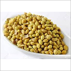 Coriander Seed By TRIDENT GLOBAL EXPORT SERVICES