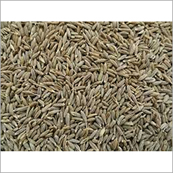 Cumin Seeds