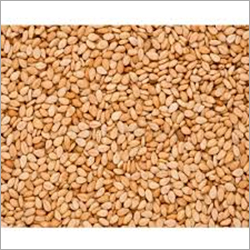 Sesame Seeds