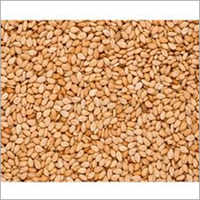 Sesame Seeds