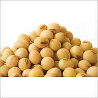Soyabean