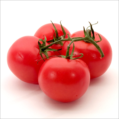 Tomato / Fresh Tomatoes