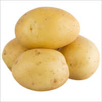Potato / Fresh Potato