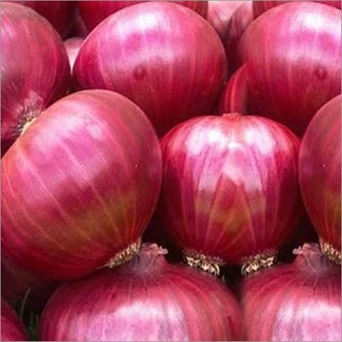 Onion / Red Onions Moisture (%): 86% (Wb) To 7% (Wb) Or Less For Efficient Storage And Processing.