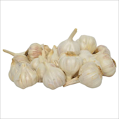 Fresh Garlic Moisture (%): 1.85 G Water/G