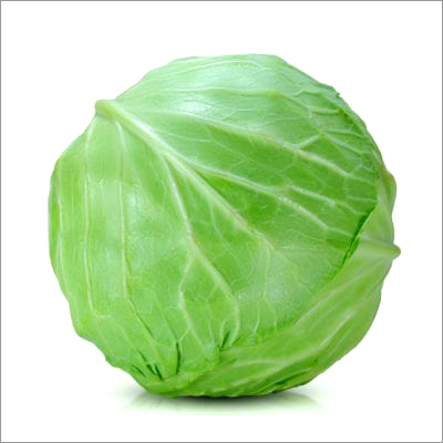 Cabbage / Organic Cabbage Moisture (%): 92%