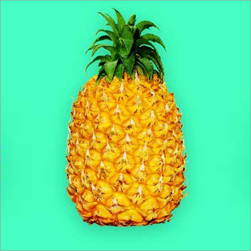 Orange Externally With Deep-Yellow Flesh Pineapple / Fresh Pineapples