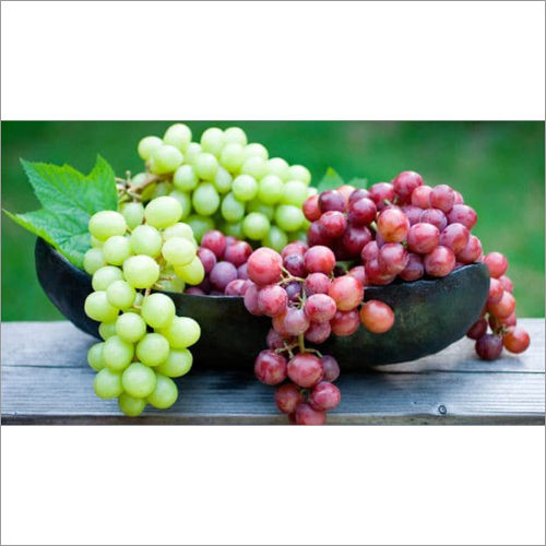 Common Grapes Green/Black/Red