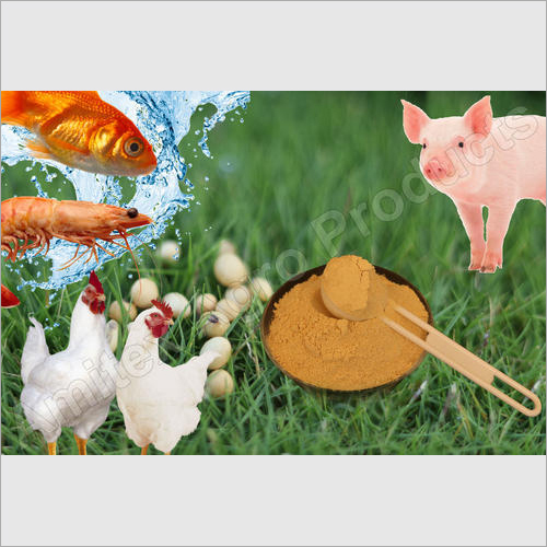 De-Oiled Soya Lecithin Powder Feed Grade