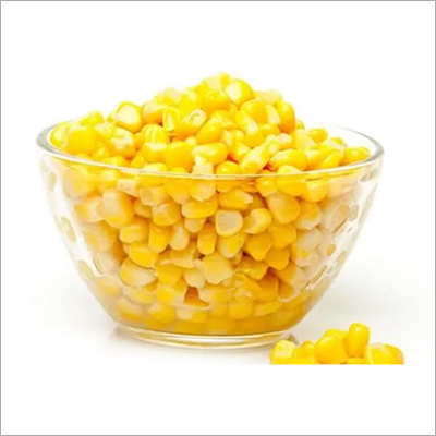 Yellow Maize Corn