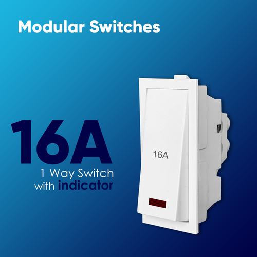 16a Switch With Indicator