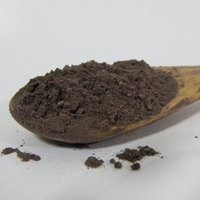 Black Ginger Powder Dry Place
