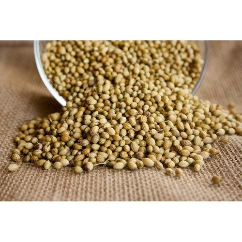 Yellow Coriander Seed