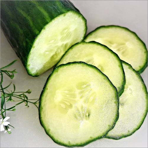 Cucumber /  Fresh Cucumber Moisture (%): 95