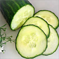 Cucumber /  Fresh Cucumber