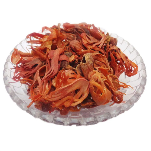 Mace Javitri