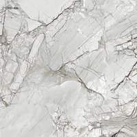 Digital Porcelain Tiles