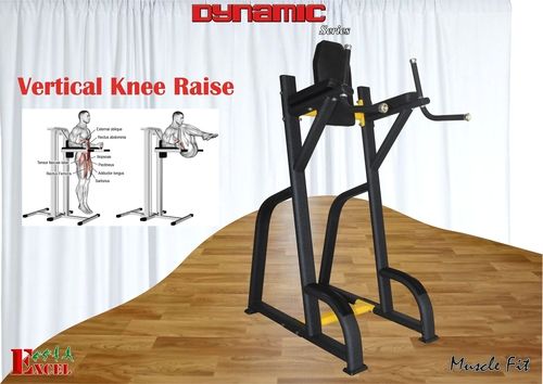 Vertical Knee Raise