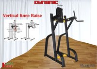 Vertical Knee Raise