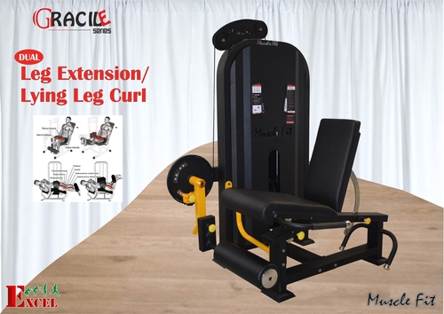 Leg Extension With Leg Curl